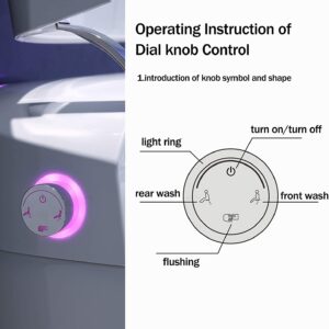 Cosvalve Smart Toilet, Bidet Toilet, Foot Sensor Flushing, Remote Control, Auto Flushing, One Piece Toilet, Remote Control, Heated Seat