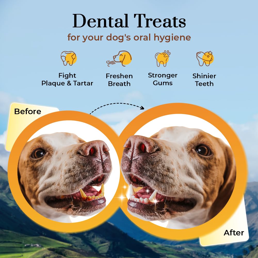 Dogsee Himalayan Yak Milk Dental Chews for Dogs Bulk Pack 3lb (Large - 12 Chews) | Made from only 3 Natural Ingredients | Tasty & Healthy Treats | Original Yak Chews for Dogs