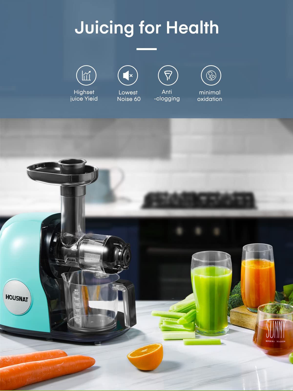 Juicer Machines, HOUSNAT Professional Celery Slow Masticating Juicer Extractor Easy to Clean, Cold Press Juicer with Quiet Motor and Reverse Function for Fruit & Vegetable, Brushes & Recipes Included