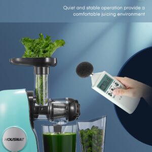 Juicer Machines, HOUSNAT Professional Celery Slow Masticating Juicer Extractor Easy to Clean, Cold Press Juicer with Quiet Motor and Reverse Function for Fruit & Vegetable, Brushes & Recipes Included