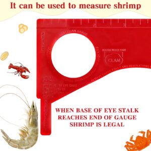 Kathfly 4 Pcs Dungeness Crab Gauge Measure Clam Measuring Tool for Multi Shrimps Lobster Shellfish, Red