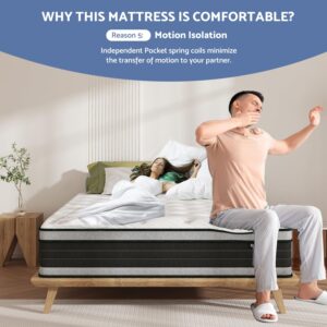 Bednew Queen Mattress, 10 Inch Hybrid Mattress with Gel Memory Foam & Individual Pocket Springs, Queen Size Bed Mattress in a Box, Pressure Relief & Motion Isolation, Medium Firm Mattress Queen