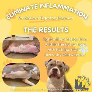 Sixteen Pawz Probiotics, Prebiotics, & Digestive Enzymes for Dogs| Limited Ingredients| Organic |Digestive Support |Allergy Relief |Immune Support| Reduces Inflammation| Diarrhea & Gas Relief