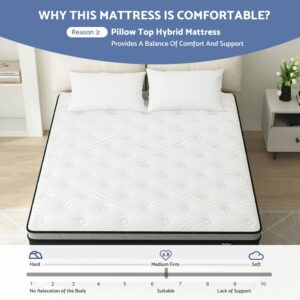 Bednew Queen Mattress, 10 Inch Hybrid Mattress with Gel Memory Foam & Individual Pocket Springs, Queen Size Bed Mattress in a Box, Pressure Relief & Motion Isolation, Medium Firm Mattress Queen