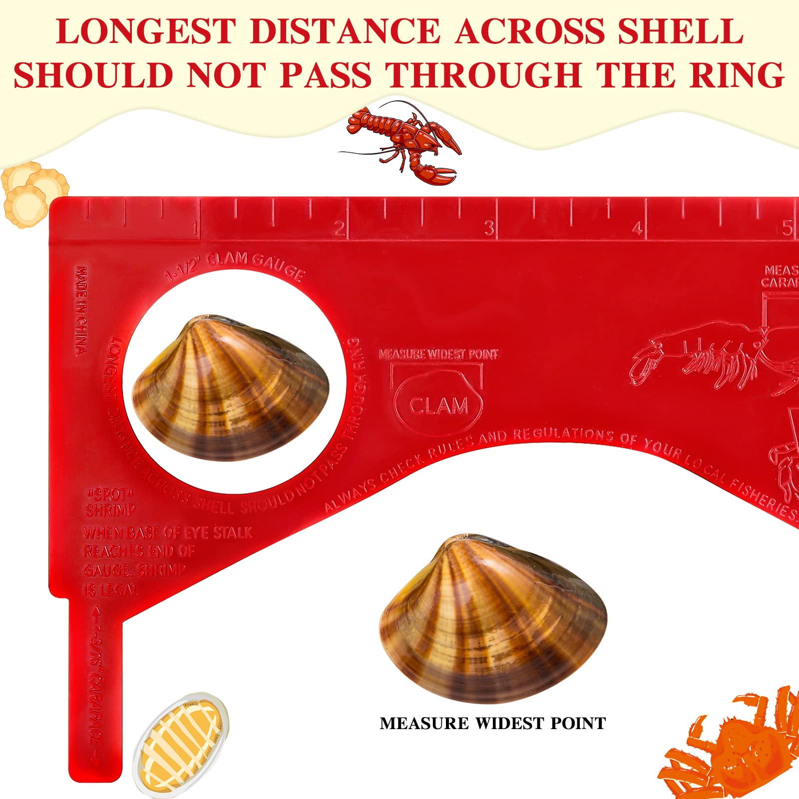 Kathfly 4 Pcs Dungeness Crab Gauge Measure Clam Measuring Tool for Multi Shrimps Lobster Shellfish, Red