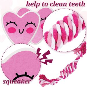 Whaline 5 Pack Valentine's Day Dog Toy Kit Puppy Chew Pink Heart Squeak BoneBall Shaped Cotton Rope Chewing for Small Medium Puppy Teeth Cleaning Supplies