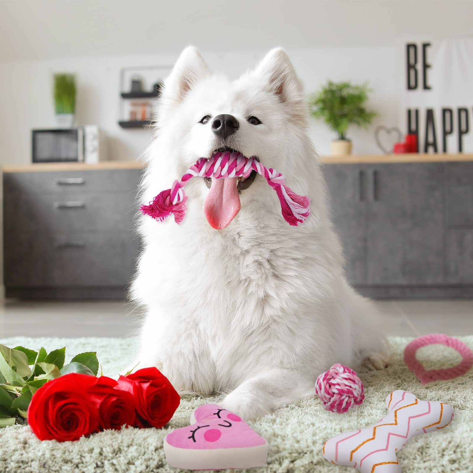 Whaline 5 Pack Valentine's Day Dog Toy Kit Puppy Chew Pink Heart Squeak BoneBall Shaped Cotton Rope Chewing for Small Medium Puppy Teeth Cleaning Supplies