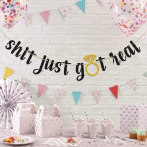 Dalaber Shit Just Got Real Banner, Funny Wedding/Engagement/Bridal Shower/Bachelorette Party Decoration, Just Married Sign Bunting Banner