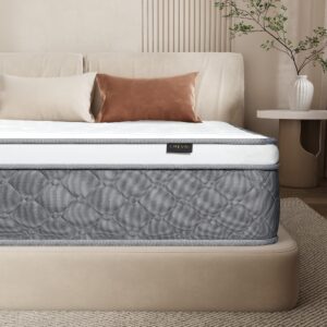 chevni queen mattress 10 inch, hybrid mattresses individual pocket springs with certipur-us gel memory foam mattress in a box,medium firm queen size 80" l x 60" w x 10" t