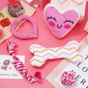 Whaline 5 Pack Valentine's Day Dog Toy Kit Puppy Chew Pink Heart Squeak BoneBall Shaped Cotton Rope Chewing for Small Medium Puppy Teeth Cleaning Supplies