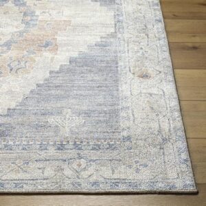 Livabliss x Becki Owens Luca Medallion Runner Area Rug, 2'7" x 7'3", Pewter