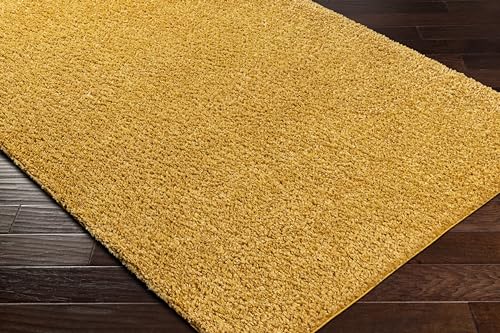 Mark&Day Area Rugs, 5x7 Vere Modern Shag Bright Orange Area Rug, Orange Carpet for Living Room, Bedroom or Kitchen (5'3" x 7'3")