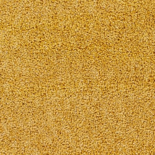 Mark&Day Area Rugs, 5x7 Vere Modern Shag Bright Orange Area Rug, Orange Carpet for Living Room, Bedroom or Kitchen (5'3" x 7'3")