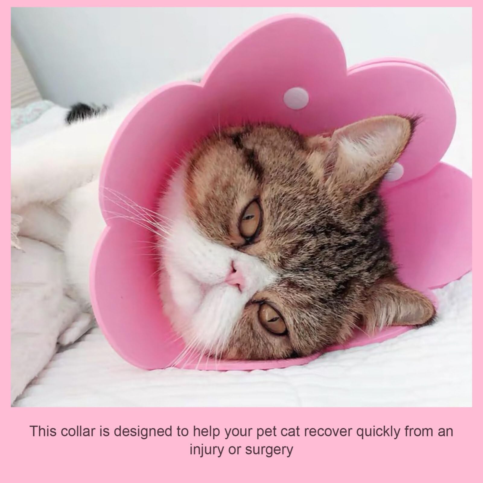 ULTECHNOVO Cat Recovery Collar, Cat Recovery Collar Protective Cat Collar Cat Cone Collar Licking Collar Cat Neck Cone Kitten Recovery Collar Pet Eva -Scratch