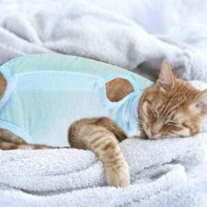 URROMA 1 Pack Blue Cat Recovery Suit, Soft Breathable Cat Recovery Clothes E-Collar Cat Wound Surgery Recovery Suit After Surgery Wear for Cats Kitten, L