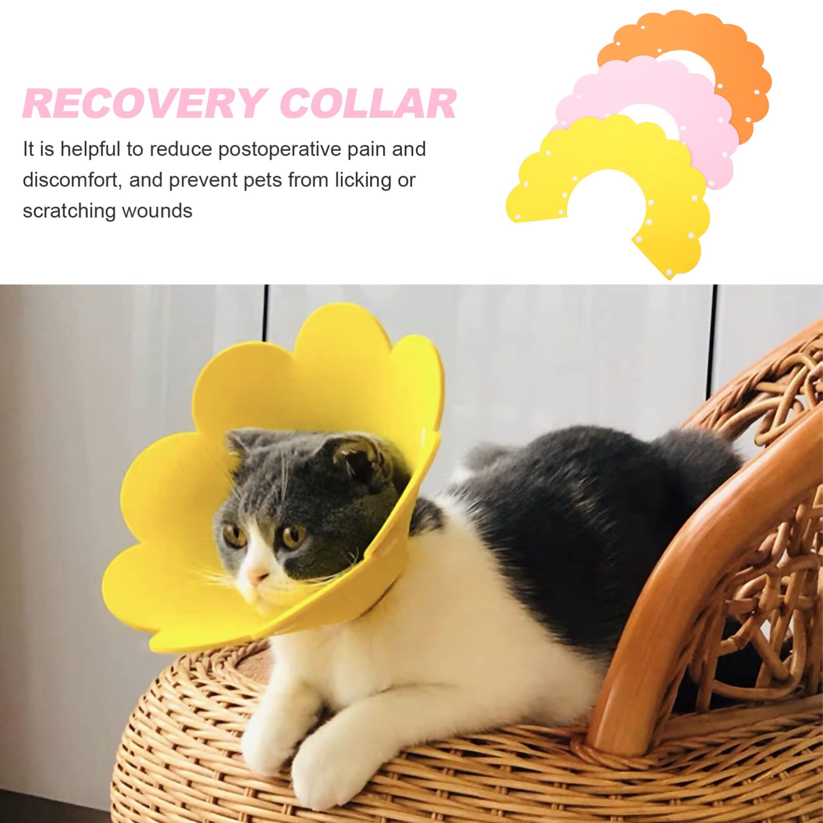 ULTECHNOVO Cat Recovery Collar, Cat Recovery Collar Protective Cat Collar Cat Cone Collar Licking Collar Cat Neck Cone Kitten Recovery Collar Pet Eva -Scratch