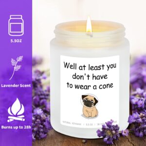 Lavender Scented Soy Candles - Get Well Soon Gifts for Women or Men - Funny Cute After Surgery Cancer Recovery Feel Better Gifts for Friend, Mom, Daughter, Sister Wife, Girlfriend, Her, Him