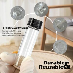 1st Choice Glass Vials, 4 Dram, Pack of 12 - Storage Bottle With PE Gasket