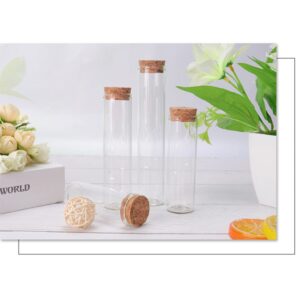 10PCS 60ml/2oz Empty Clear Borosilicate Glass Test Tubes Flat Test Tubes with Cork Stoppers Vials Jars Container Holder Message Bottle for Scientific Experiments Bath Salt Tea Candy Party Favor