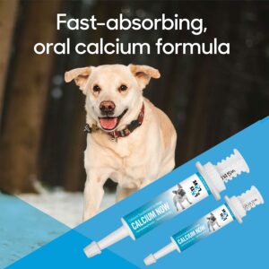 Calcium Now - Oral Calcium for Whelping Dogs (30 ml) - Dog & Cat Calcium Supplement Paste - Lots of Love