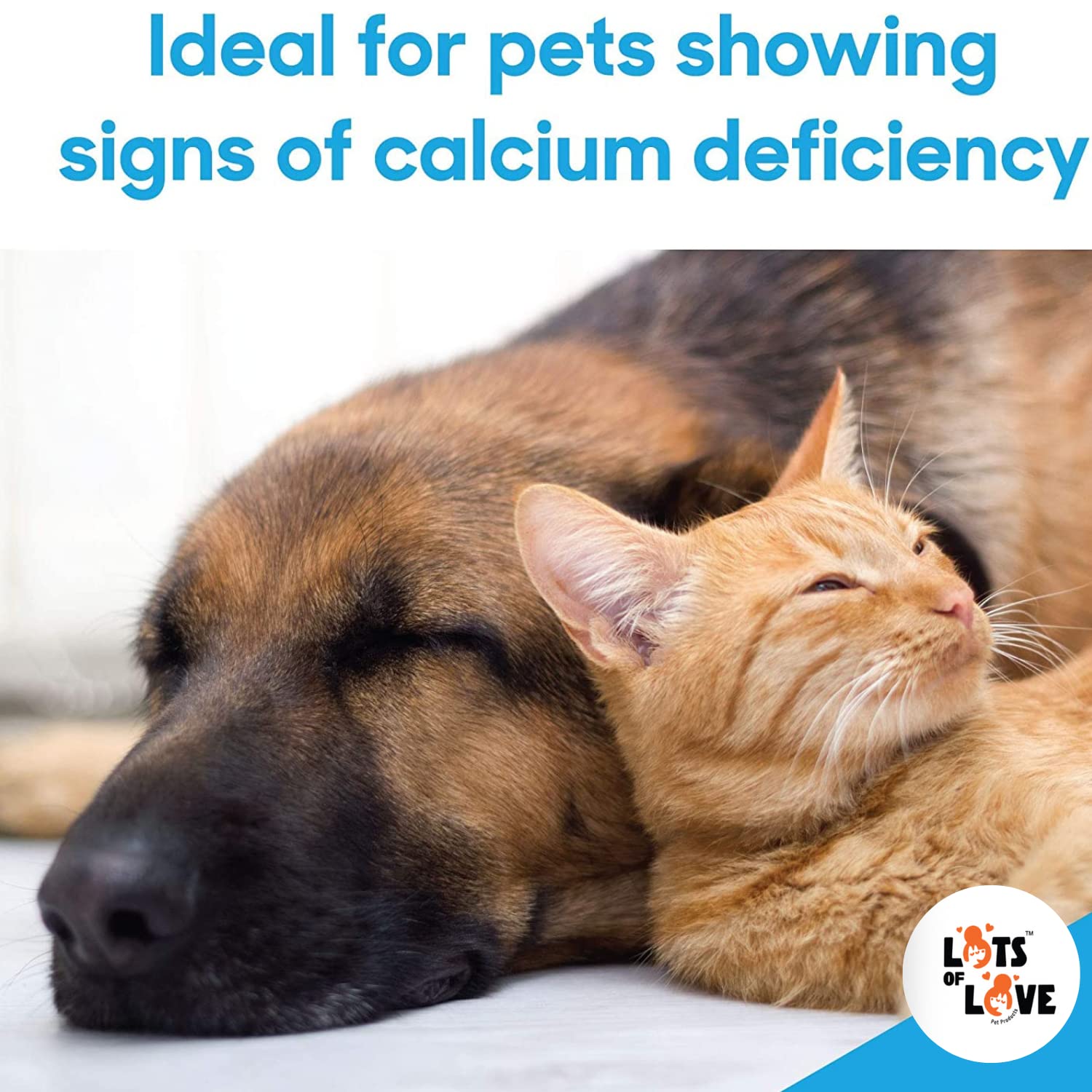 Calcium Now - Oral Calcium for Whelping Dogs (30 ml) - Dog & Cat Calcium Supplement Paste - Lots of Love