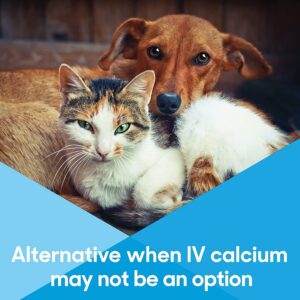 Calcium Now - Oral Calcium for Whelping Dogs (30 ml) - Dog & Cat Calcium Supplement Paste - Lots of Love