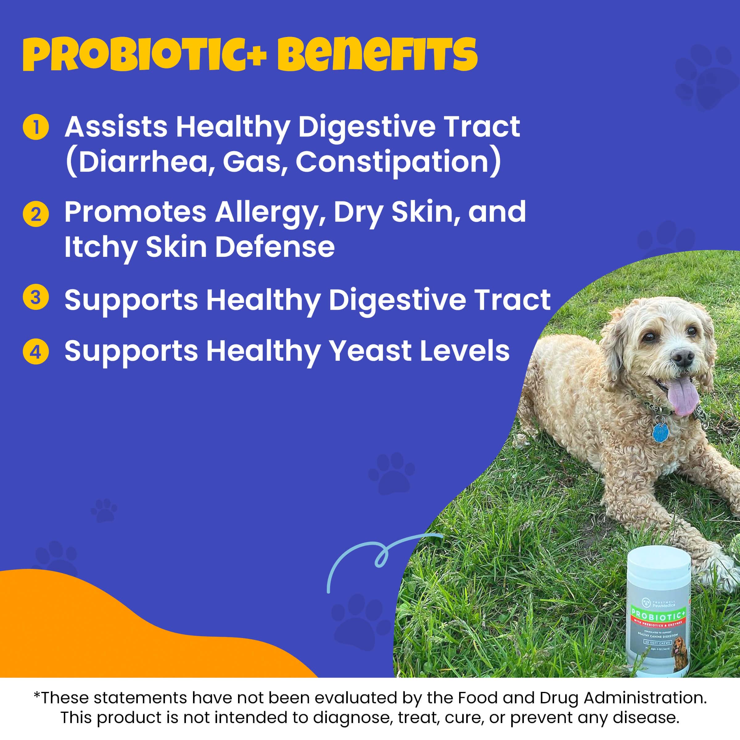 Itchy Dog Skin Bundle for Dogs That Scratch a lot - Dog Probiotic and Omega Supplement Bundle for Healthy Digestion and Itchy Skin Relief (60 Chews)