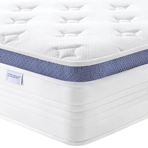 dourxi queen mattress, 12 inch hybrid queen size mattress in a box with gel memory foam, individually pocketed springs for support and pressure relief - medium plush