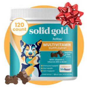 solid gold dog multivitamin - petvites dog vitamins chewable supplement - vitamin c, a, b12, & e plus probiotics & antioxidants to promote immune health & digestive wellness (120 count)