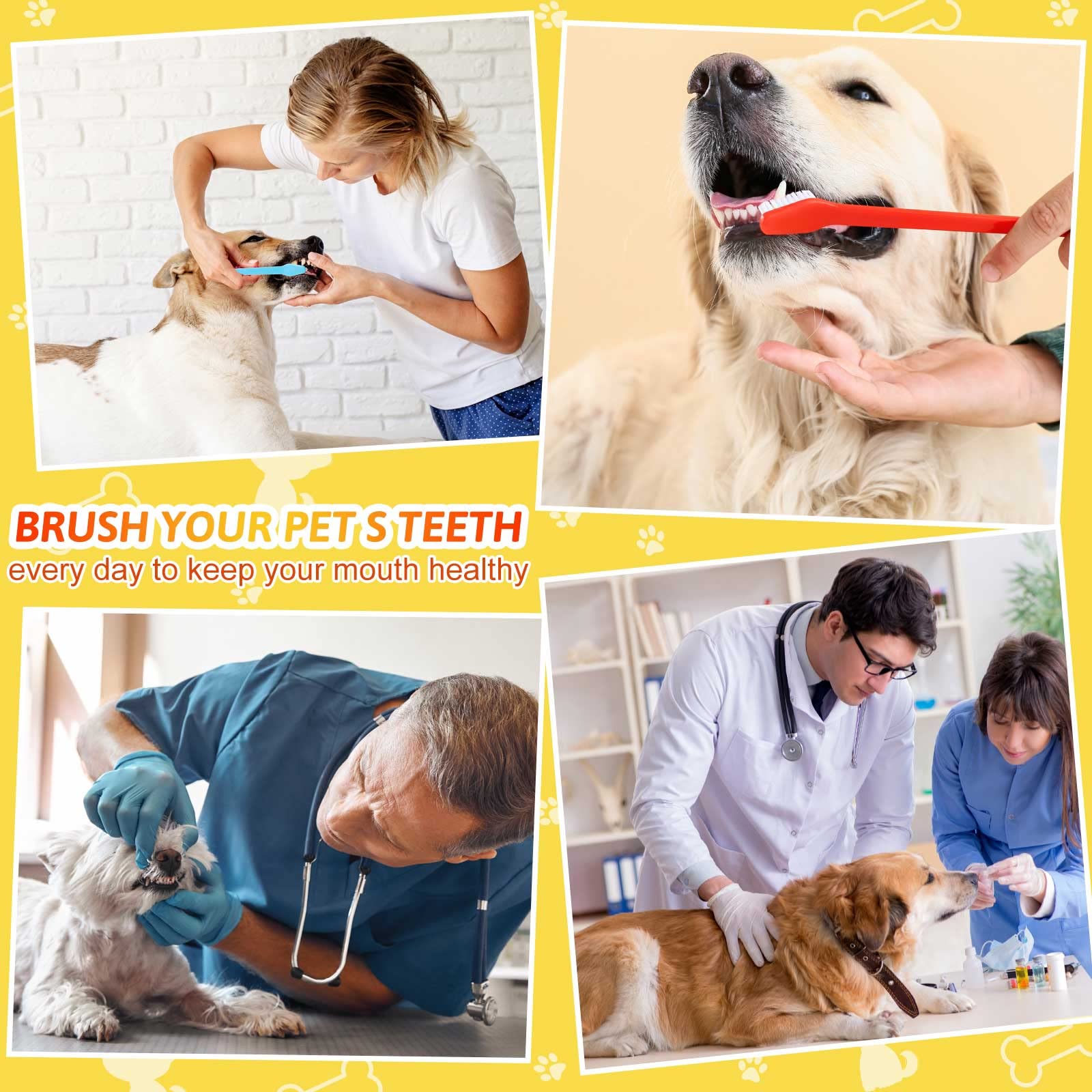 300 Pcs Pet Toothbrush Bulk Dog Double Sided Brushes Puppy Tooth Brushing Kit Soft Bristles Long Handle Dog Tooth Brush for Small Dog Cat Puppy Teeth Cleaning Oral Dental Care Supplies (10 Colors)