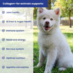 Collagen+ Ultimate Dog or Cat Food Topper with Greens Probiotics Enzymes Colostrum Glucosamine Omegas Supports Healthy Joints Energy Digestion Immunity