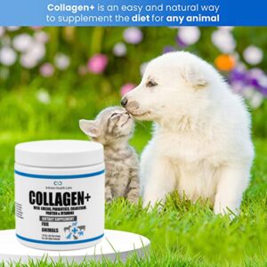 Collagen+ Ultimate Dog or Cat Food Topper with Greens Probiotics Enzymes Colostrum Glucosamine Omegas Supports Healthy Joints Energy Digestion Immunity