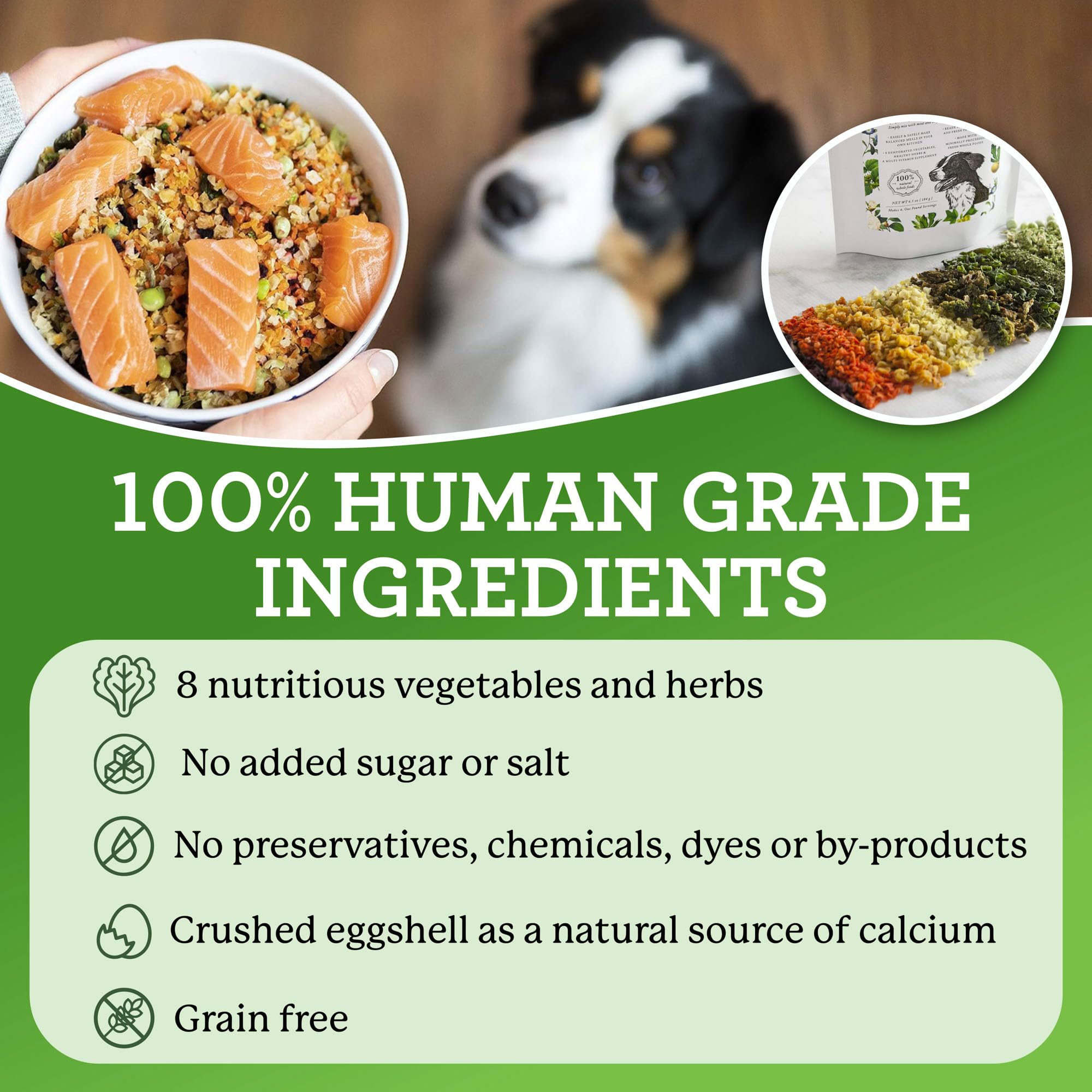 Dr. Harvey's Veg-to-Bowl Dog Food, Human Grade Dehydrated Base Mix for Dogs, Grain Free Holistic Mix, Trial Size (6.5 Oz)