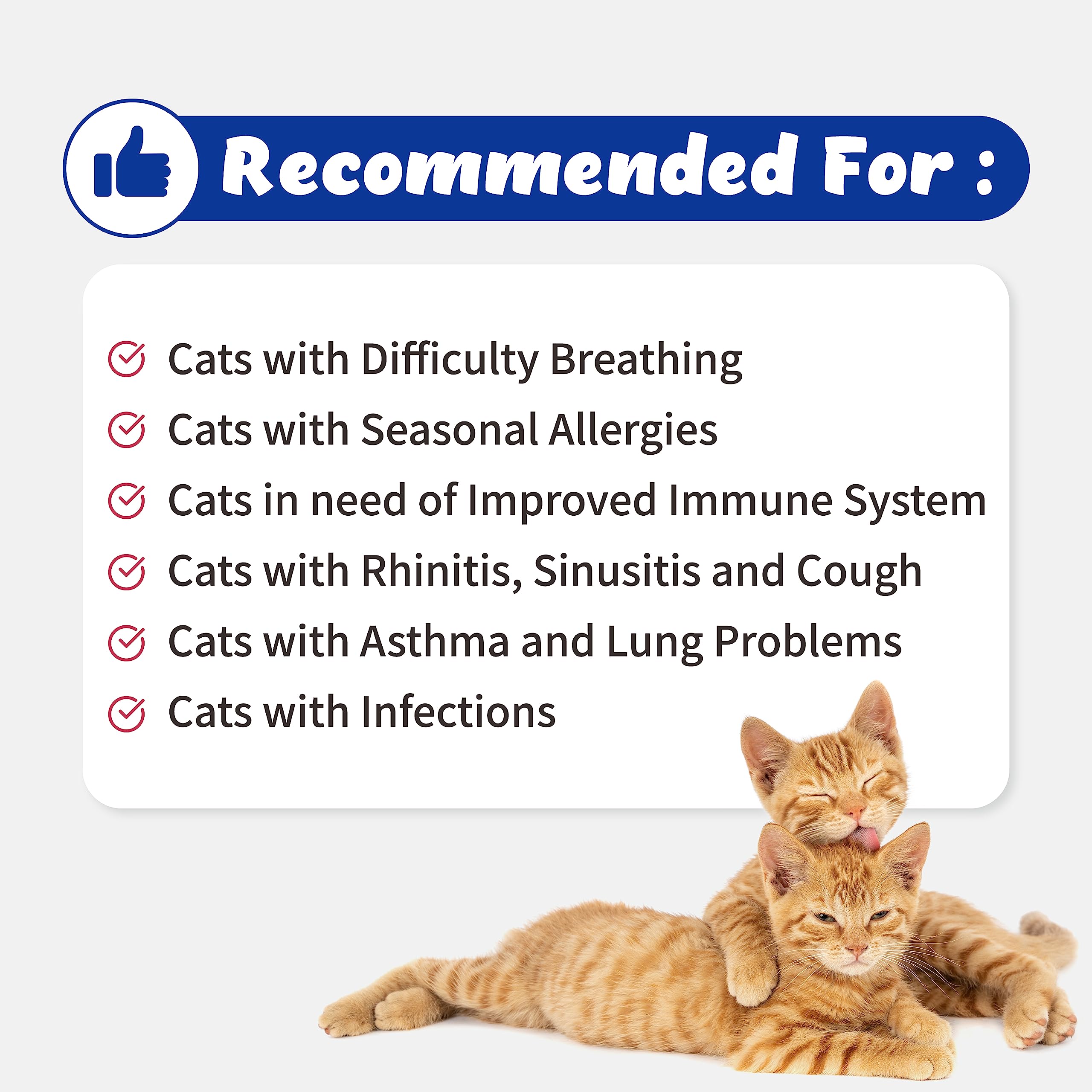 Branvine Respiratory Guardian for Cats - Supports Lung Health, Nasal, Bronchial and Oxygen, Vegan Bacon Flavor (117g) with Quercefit® and Respiratory Probiotics