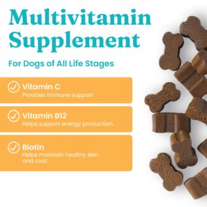 Solid Gold Dog Multivitamin - PetVites Dog Vitamins Chewable Supplement - Vitamin C, A, B12, & E Plus Probiotics & Antioxidants to Promote Immune Health & Digestive Wellness (120 Count)