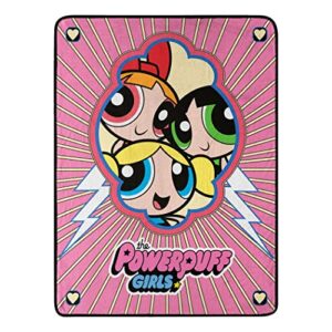 northwest powerpuff girls micro raschel throw blanket, 46" x 60", peeking puffs