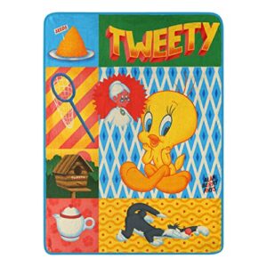 northwest looney tunes micro raschel throw blanket, 46" x 60", artsy tweety