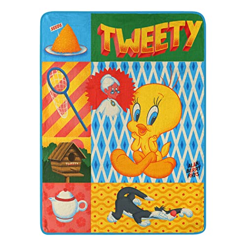 Northwest Looney Tunes Micro Raschel Throw Blanket, 46" x 60", Artsy Tweety