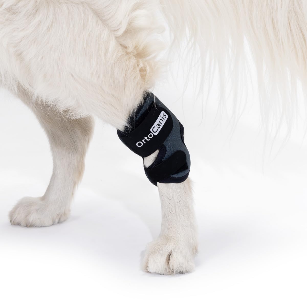 Ortocanis - Tarsal Support for Dog - Ankle Brace for Arthritis, Tarsal and Ligament Injuries, Osteoarthritis, Tendon Inflammations - Made of ARD Neoprene - Size: XXS 7-9 cm - 5.5-7.5 cm