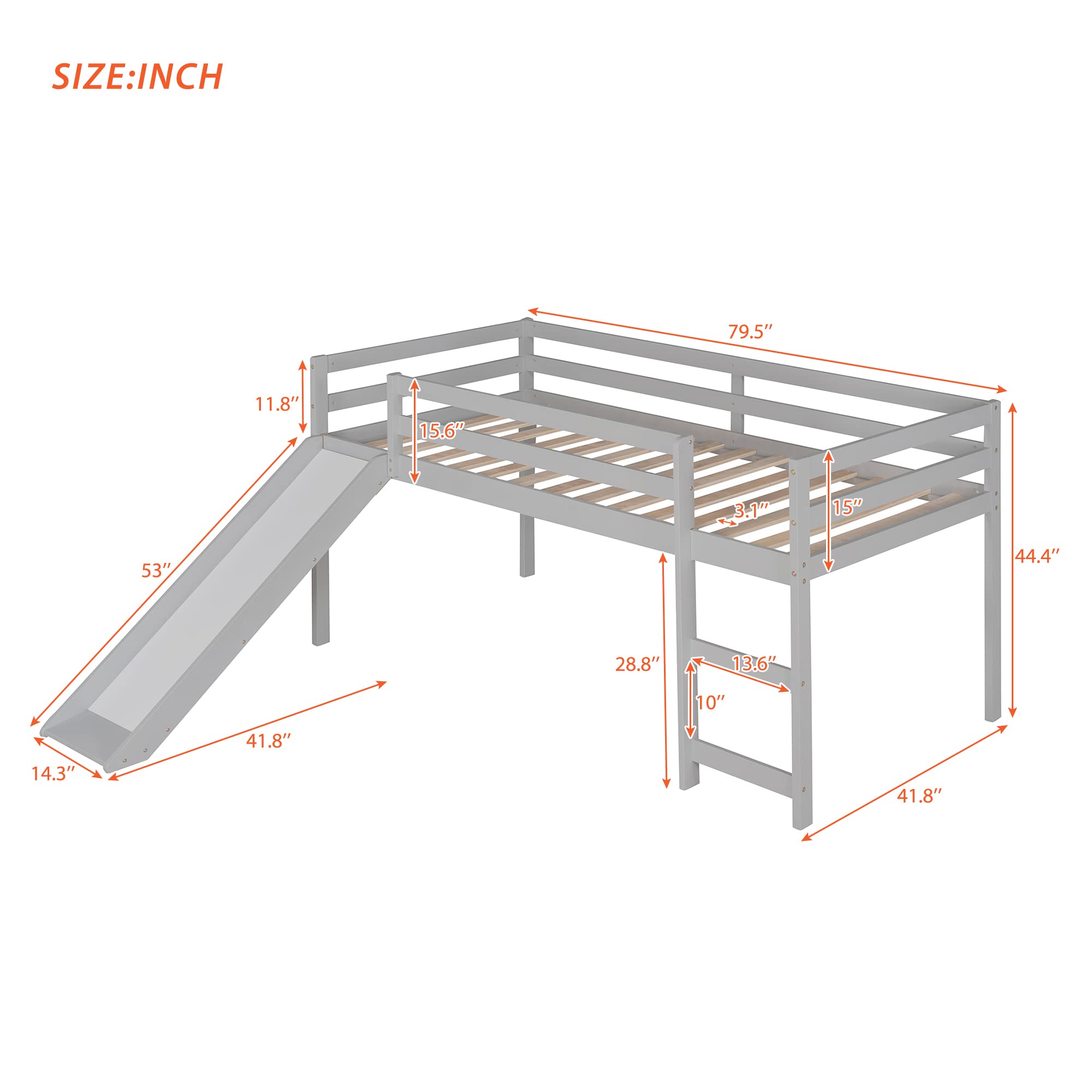 Merax Twin Kids Wood Low Loft Bed with Ladders/Slide Loft Bunk Bed for Juniors, No Box Spring Needed, Walnut