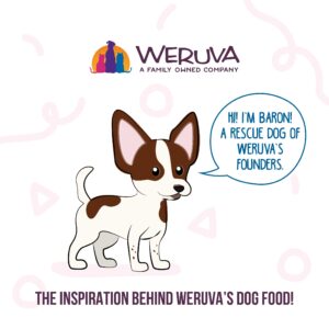 Weruva Meals 'n More Chicken Lovers Variety Pack, Canned Dog Food, 3.5oz Each (20 Count)