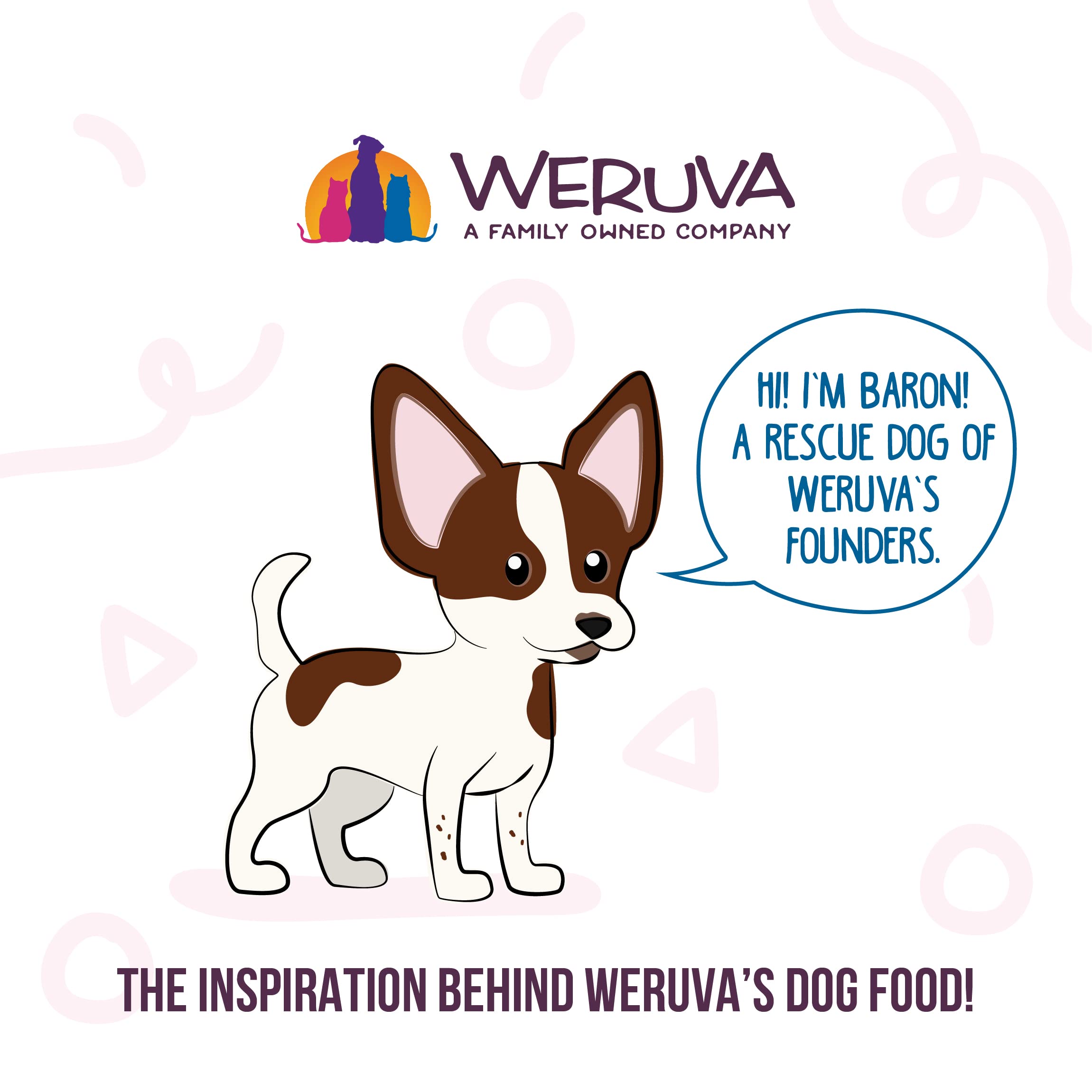 Weruva Meals 'n More Chicken Lovers Variety Pack, Canned Dog Food, 3.5oz Each (20 Count)