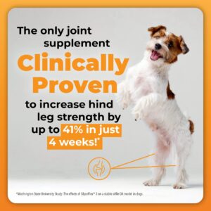 VetriScience GlycoFlex Plus Hip and Joint Supplement Chews for Dogs and Composure Calming Chews for Dogs