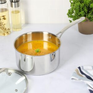 Martha Stewart Castelle Saucepan 18/8 Stainless Steel Pot 3.5-Quart Induction Safe Sauce Pan with Lid