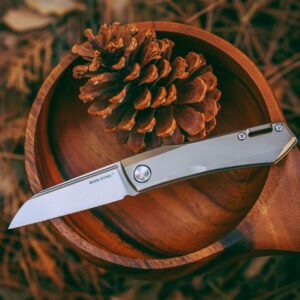 Real Steel Solis Slipjoint Folding Pocket Knife: Bohler N690 Beadblast Blade and Titanium TC4 Handle for Unmatched Versatility - Your Go-To EDC Companion for Outdoor Adventures and Everyday Use (Sliver hardware/Beadblast)