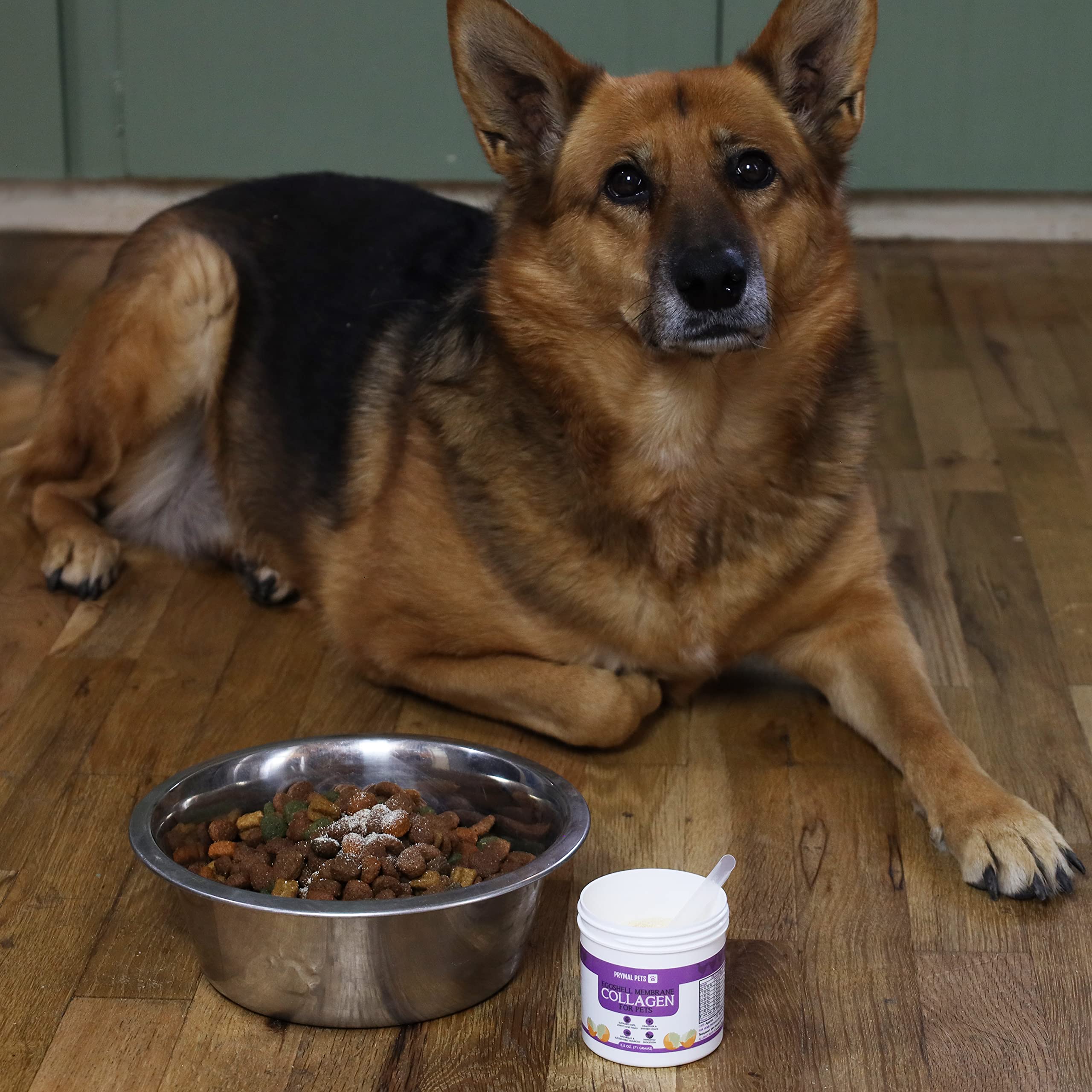 Eggshell Membrane Collagen for Dogs - Non-Gelatin and Non-Bone Marrow Based, All Natural Premium Dog Collagen Powder from Eggshell Membranes: Supports Pet HIPS, Joints, Nails, Fur and Digestion.