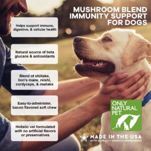 Only Natural Pet Mushroom Blend Immune System Support Supplement for Dogs - Boost Healthy Cellular, Digestive, & Liver Function - Multivitamin Beta-Glucan & Antioxidant - Bacon Flavor 60 Soft Chews