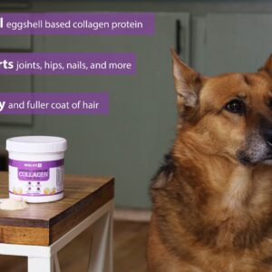 Eggshell Membrane Collagen for Dogs - Non-Gelatin and Non-Bone Marrow Based, All Natural Premium Dog Collagen Powder from Eggshell Membranes: Supports Pet HIPS, Joints, Nails, Fur and Digestion.