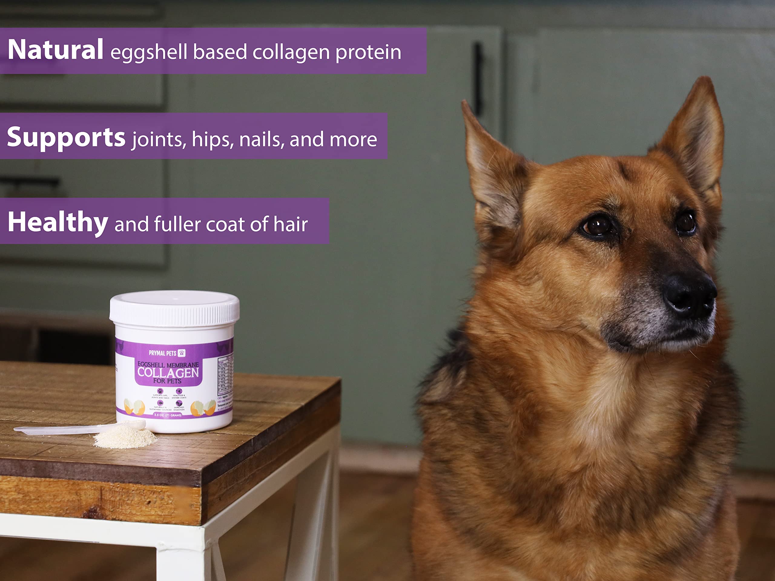 Eggshell Membrane Collagen for Dogs - Non-Gelatin and Non-Bone Marrow Based, All Natural Premium Dog Collagen Powder from Eggshell Membranes: Supports Pet HIPS, Joints, Nails, Fur and Digestion.