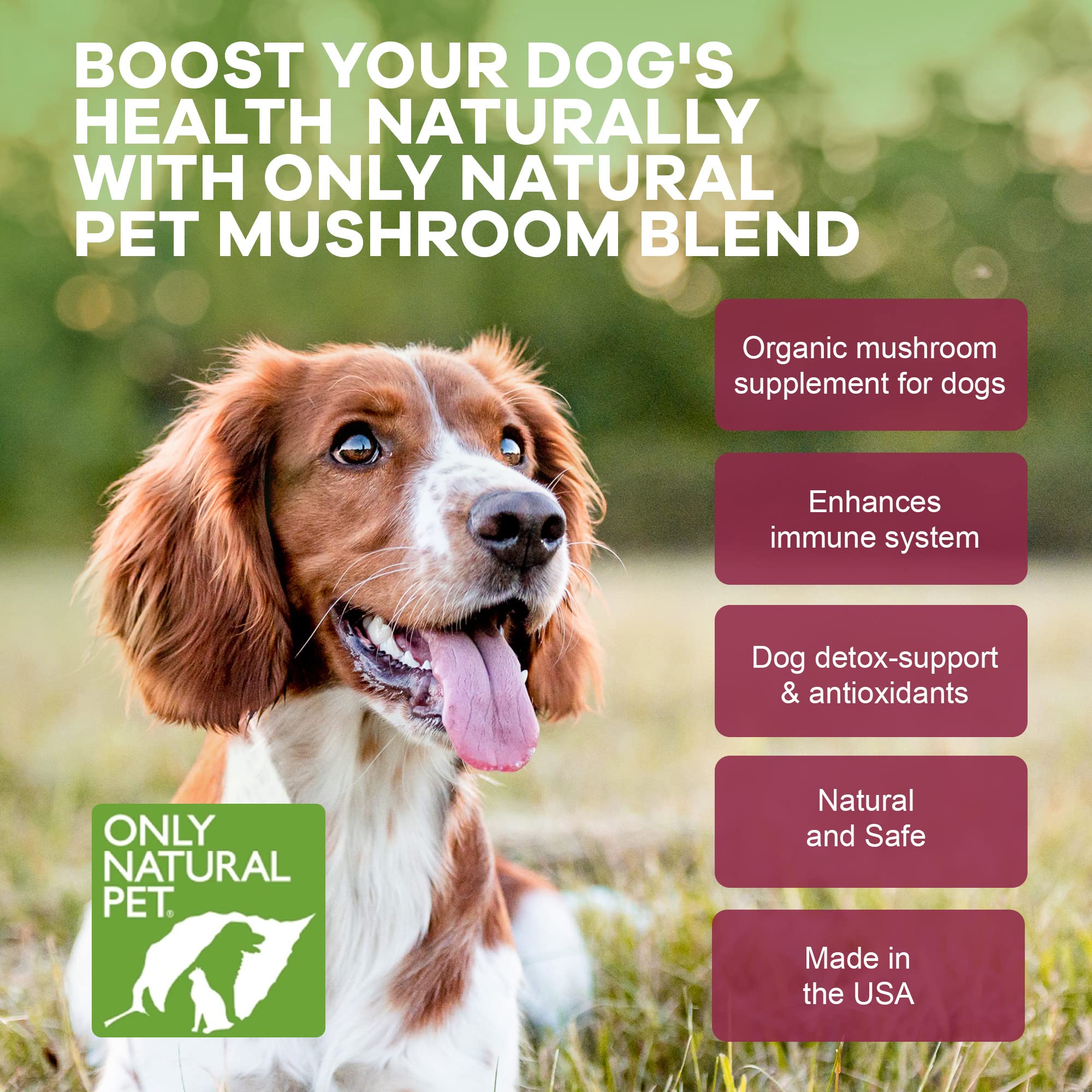 Only Natural Pet Mushroom Blend Immune System Support Supplement for Dogs - Boost Healthy Cellular, Digestive, & Liver Function - Multivitamin Beta-Glucan & Antioxidant - Bacon Flavor 60 Soft Chews